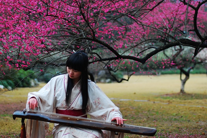 《梅花林,古琴汉服》图片