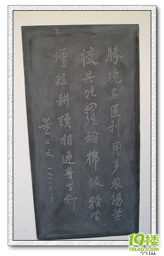 P1010085.jpg