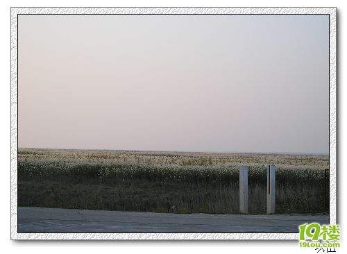P1010115.jpg