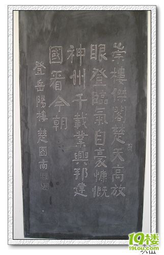 P1010088.jpg