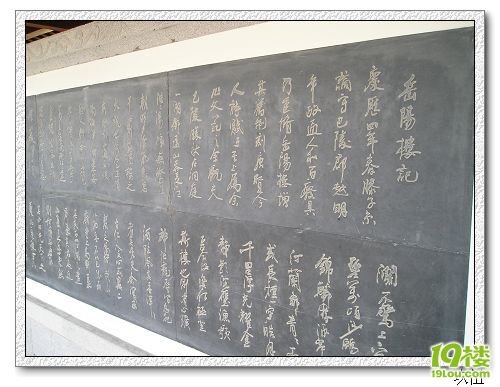 P1010110.jpg