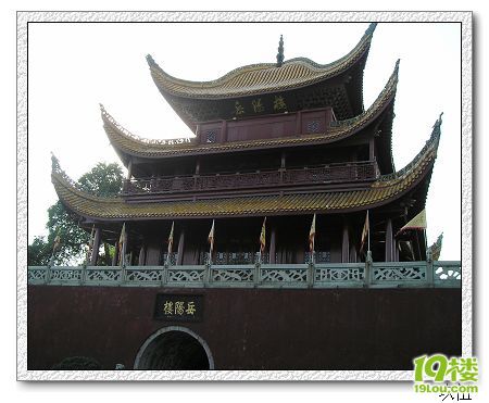 P1010109.jpg