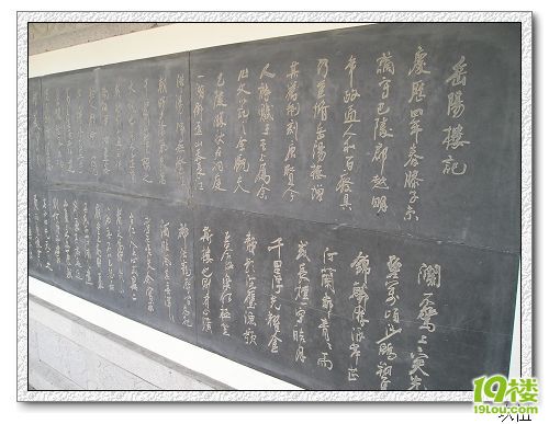 P1010111.jpg