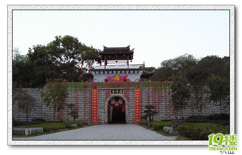 P1010134.jpg