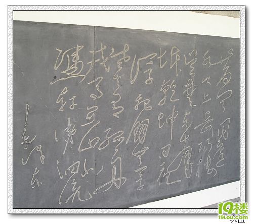 P1010084.jpg