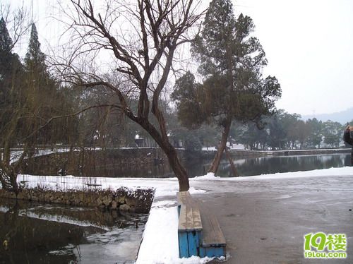 P1010154_缩小大小.JPG