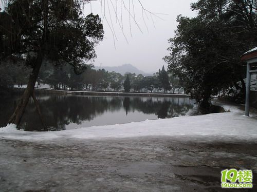 P1010155_缩小大小.JPG