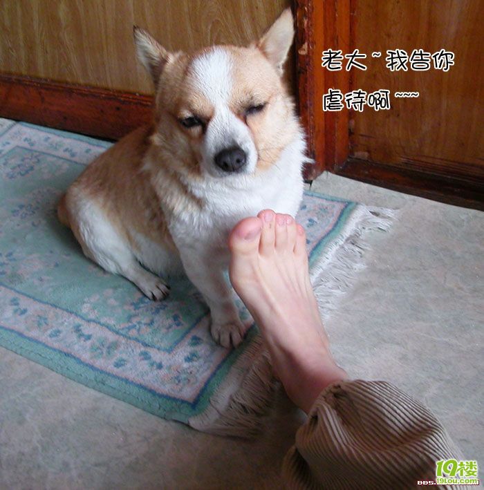 仅凭欠条起诉欠款者还款，能得到支持吗？