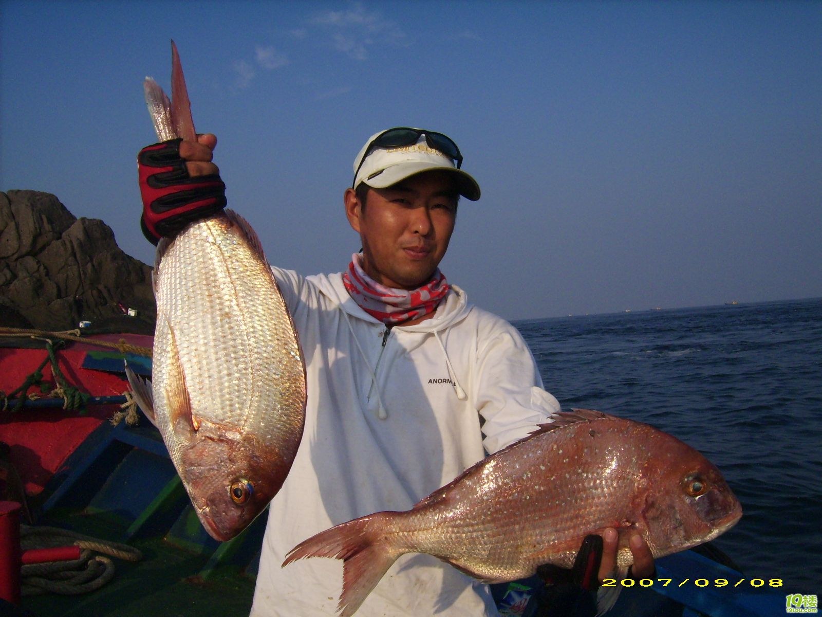 黑鲷鱼在我国的渤海、黄海、东海和南海都有分布,在四大海区中的岛屿,岩礁和港湾相对多一些。黑鲷鱼属清洗暖温性底栖鱼类。它喜欢栖息在岩礁或者沙泥底质的海区。一般不作长距离洄游。以小型鱼类,虾类,贝类和环节动物为食饵。
