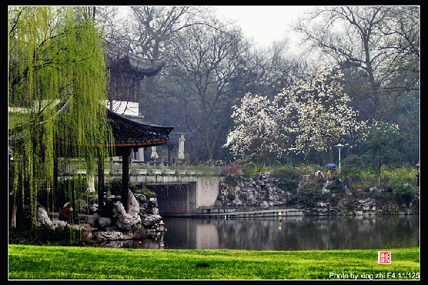 柳浪闻莺公园