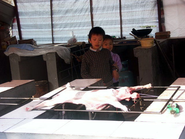 20081129_5daeba04da73a100b10eln5pq7PfHbpP.jpg
