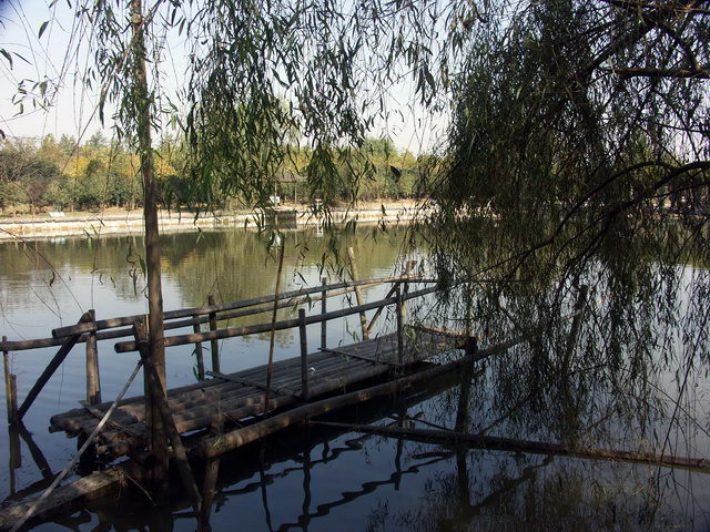 20081129_63f520b4e04c3d4840d63eXKZaRV14ur.jpg