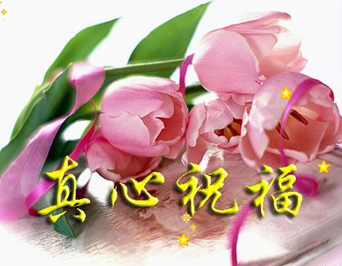 好人好梦_愚仁弄漫