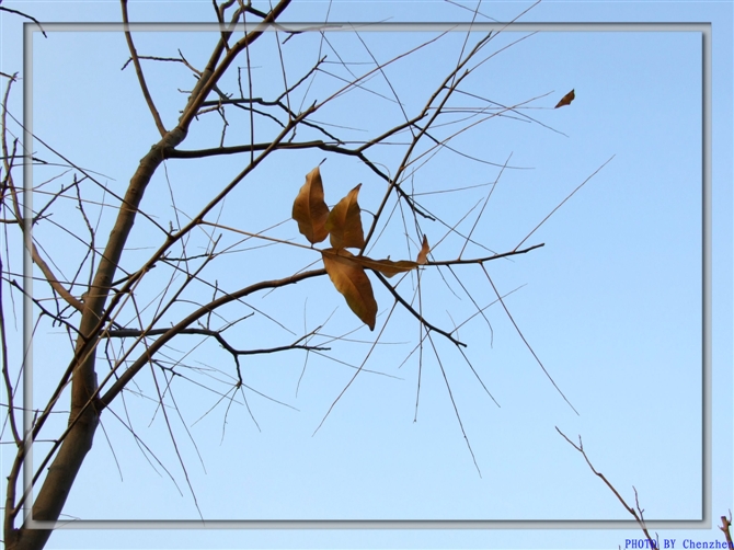 20081215_9c1898c2ac5785c0ea08r4HLwBXR8vsY.jpg
