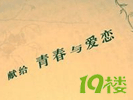 19¥����