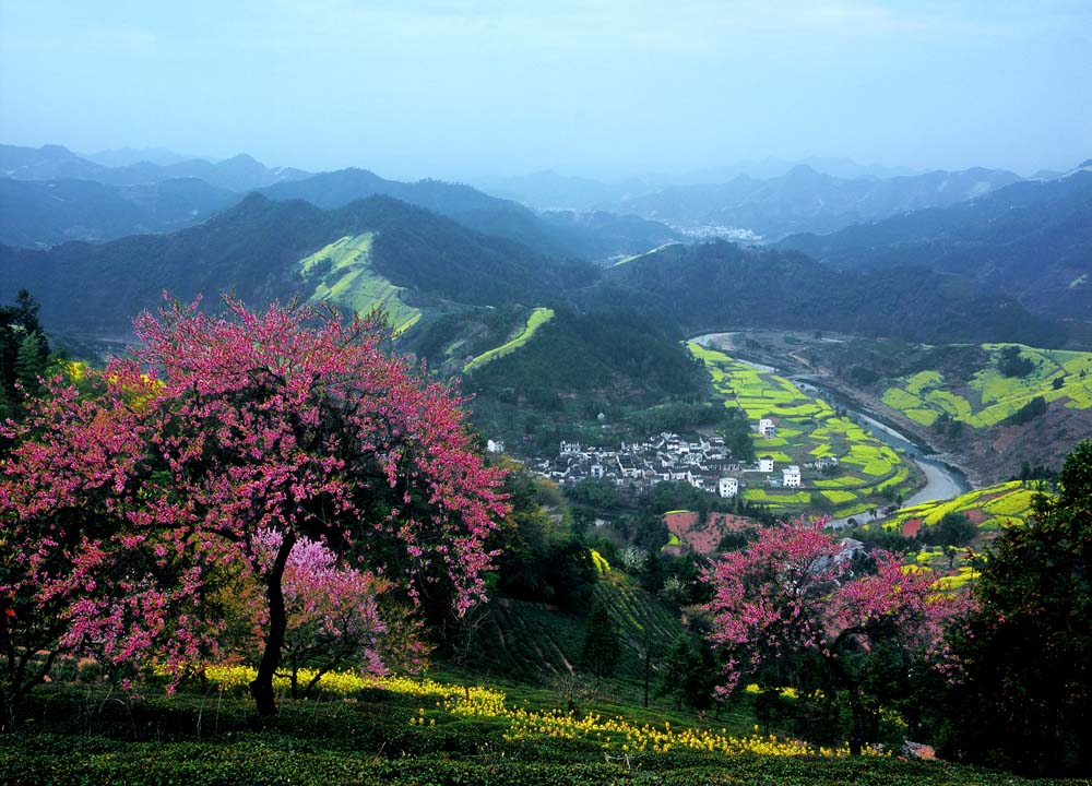 【春天花事】3月15日安徽石潭油菜花海浪漫徒步!
