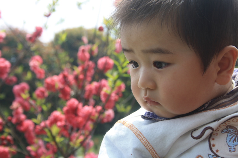 蜡笔小新 真人版