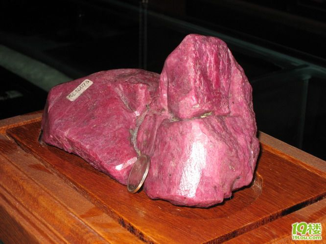 fga你好帮忙看看这4斤多重的大家伙